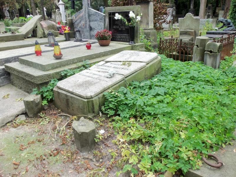Zdjęcie grobu Wincenty Colonna - Walewski (1)