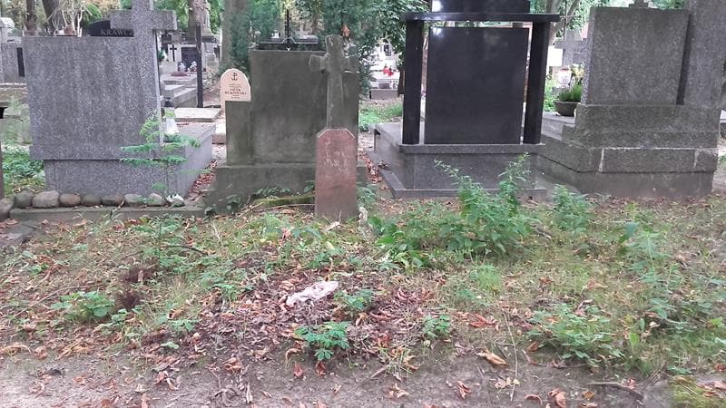 Zdjęcie grobu: Stasiunia Jaroszówna