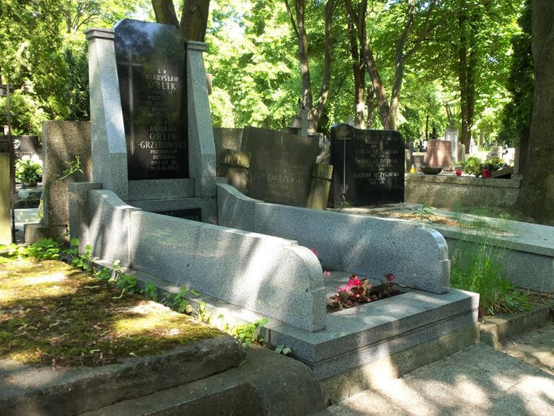Zdjęcie grobu Władysław Orlik (1)