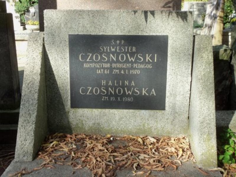Zdjęcie grobu Sylwester Czosnowski (1)