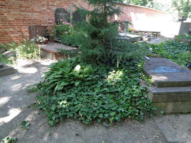 Zdjęcie grobu: Pole Grobowe