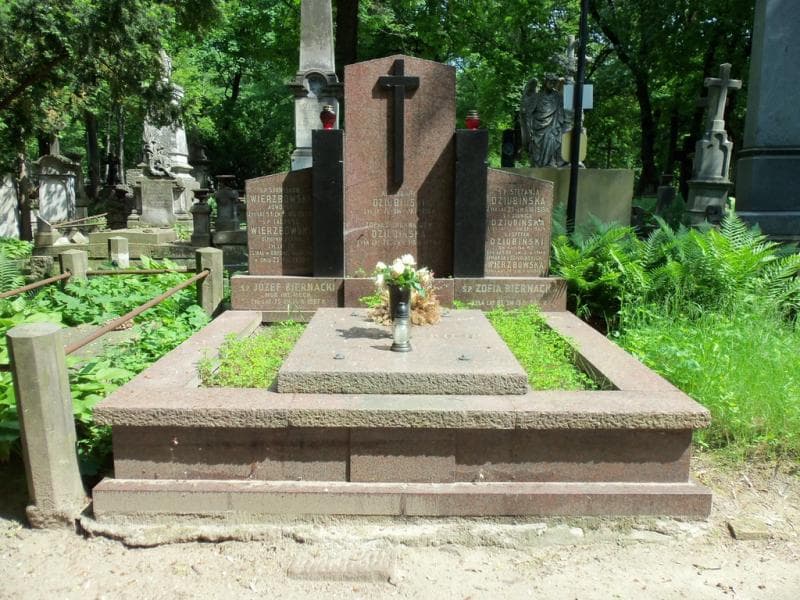 Zdjęcie grobu: Apolinary Dziubiński