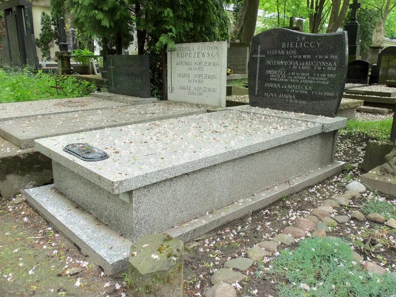 Zdjęcie grobu Helena Zofia Bielicka (1)