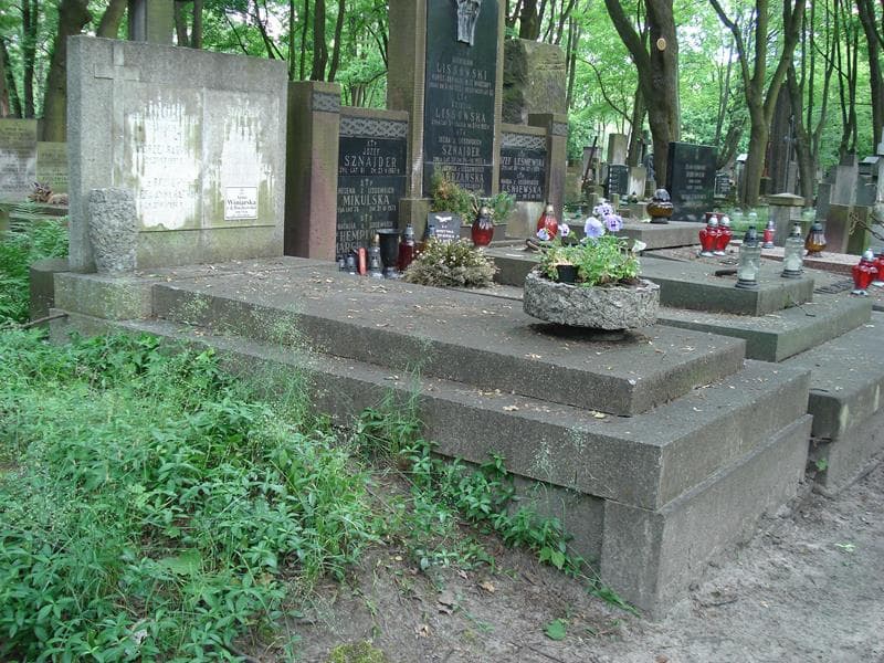 Zdjęcie grobu Stanisław Pollak (1)