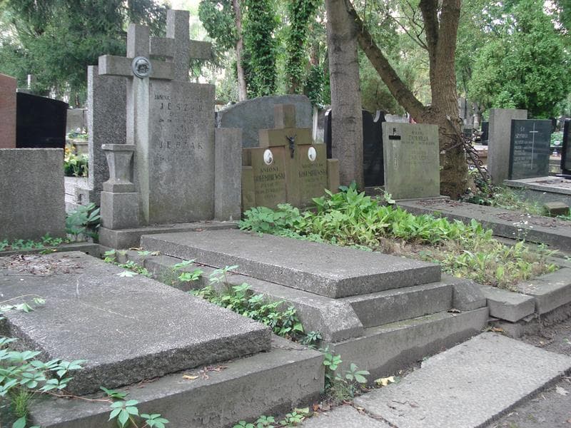 Zdjęcie grobu Zofia Jerzak (1)