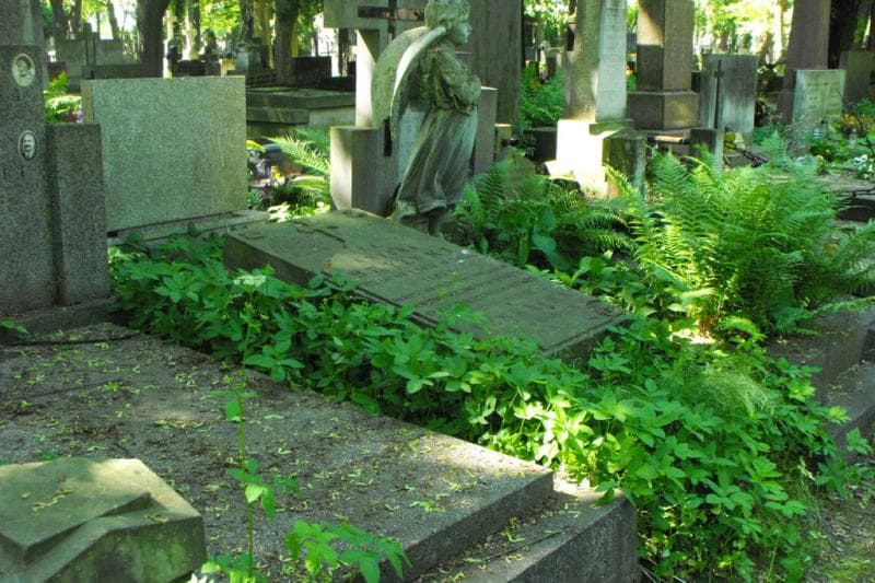 Zdjęcie grobu Anatolja Penkacka (2)