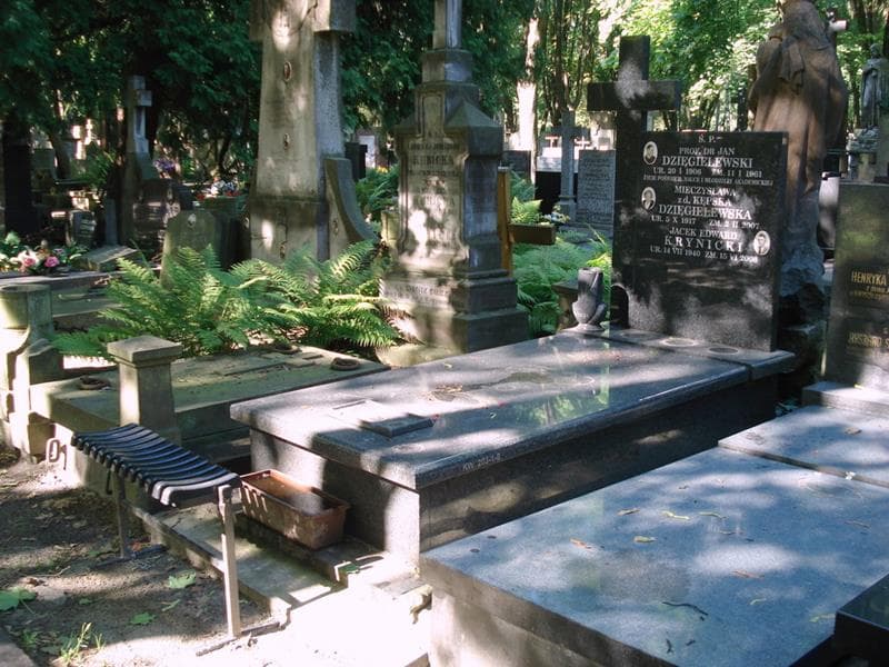 Zdjęcie grobu: Mieczysława Dzięgielewska