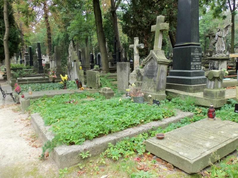 Zdjęcie grobu Stefunia Perlińska (1)