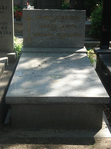 Zdjęcie grobu: Henryk Leszczyński
