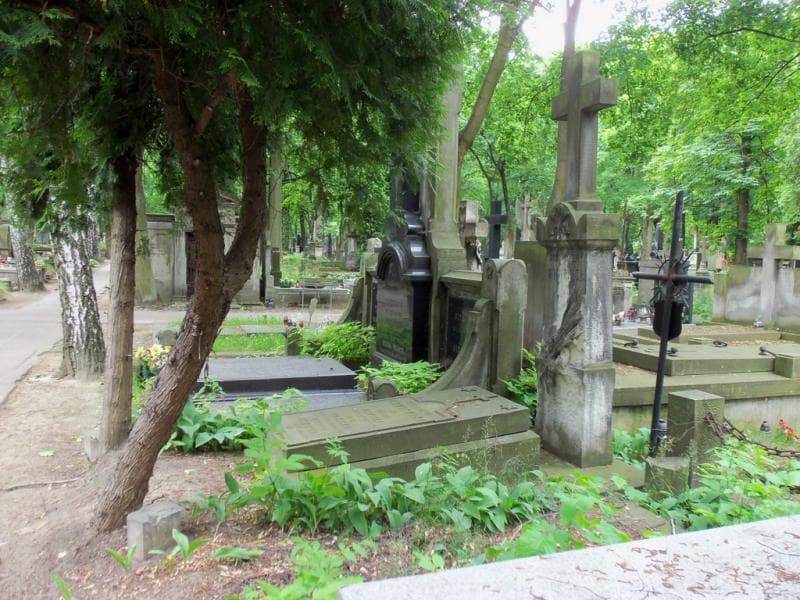 Zdjęcie grobu Feliks Nowicki (1)