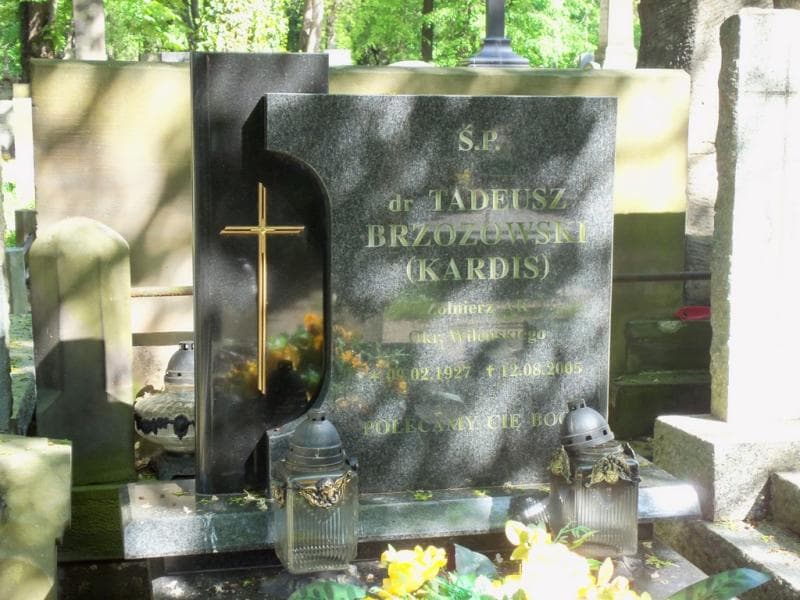 Zdjęcie grobu Tadeusz Brzozowski (2)