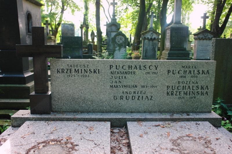 Zdjęcie grobu Tadeusz Krzemiński (2)