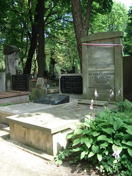 Zdjęcie grobu Julian Dołęga Komorowski (1)