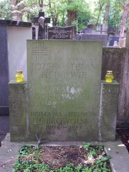 Zdjęcie grobu Stefan Hein (2)