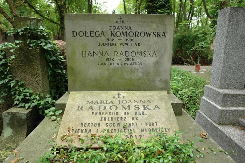 Zdjęcie grobu Joanna Dołęga Komorowska (2)