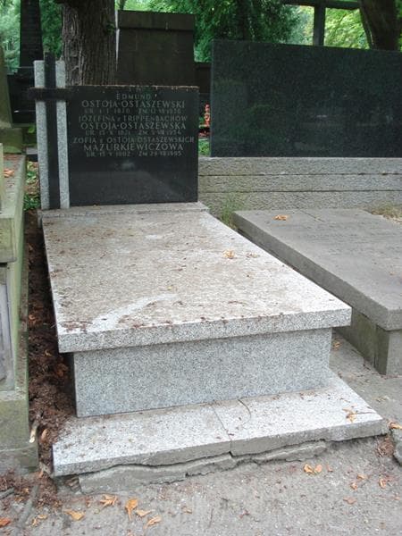Zdjęcie grobu Edmund Ostoja-Ostaszewski (1)