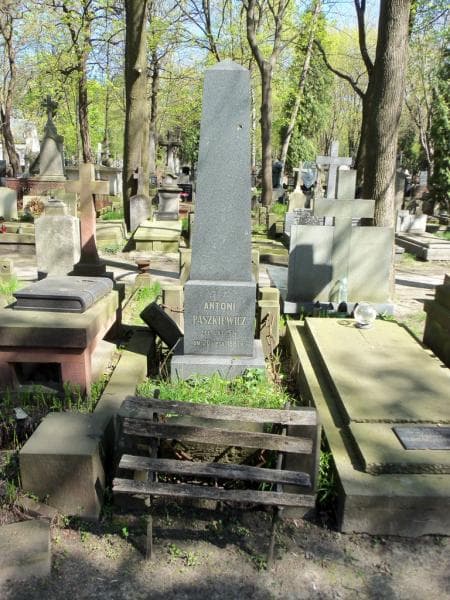 Zdjęcie grobu: Antoni Paszkiewicz