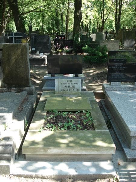 Zdjęcie grobu: Maria Pomian Srzednicka