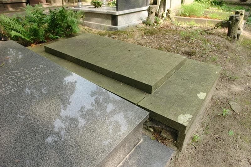 Zdjęcie grobu Helena Dreszer (2)