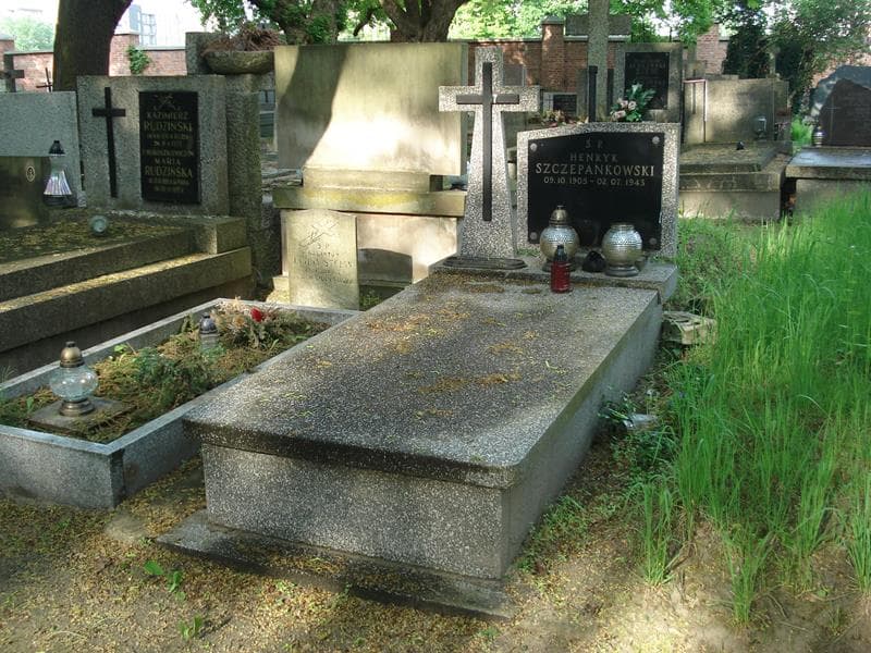 Zdjęcie grobu: Henryk Szczepankowski