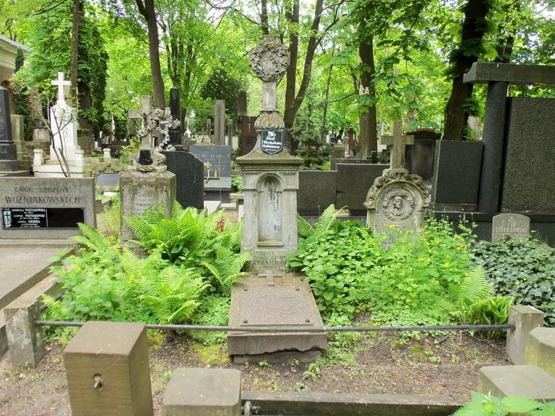 Zdjęcie grobu: Kazimierz ...