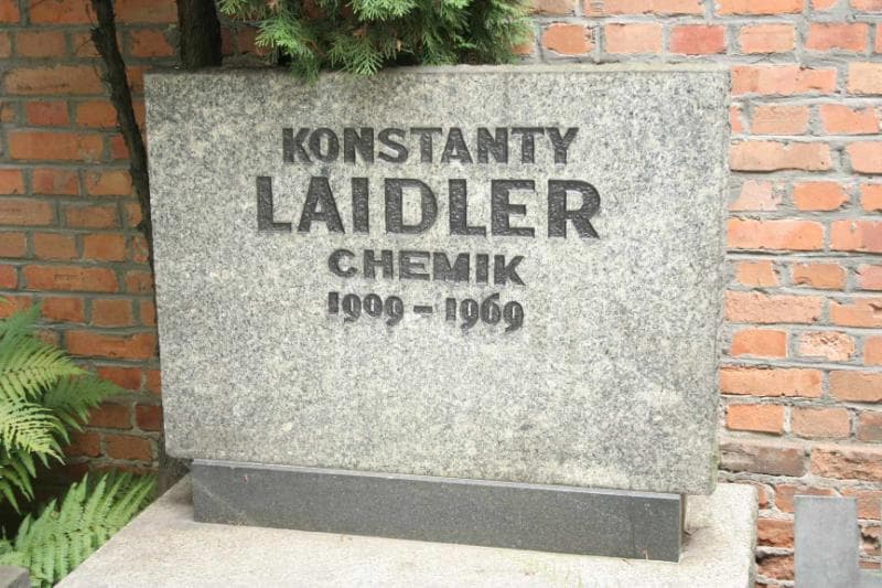 Zdjęcie grobu Konstanty Laidler (4)