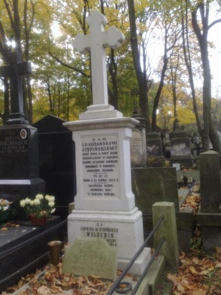 Zdjęcie grobu Alexander Stępiński (1)