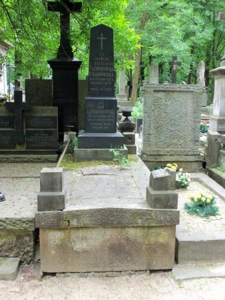Zdjęcie grobu: Jan Lewandowski