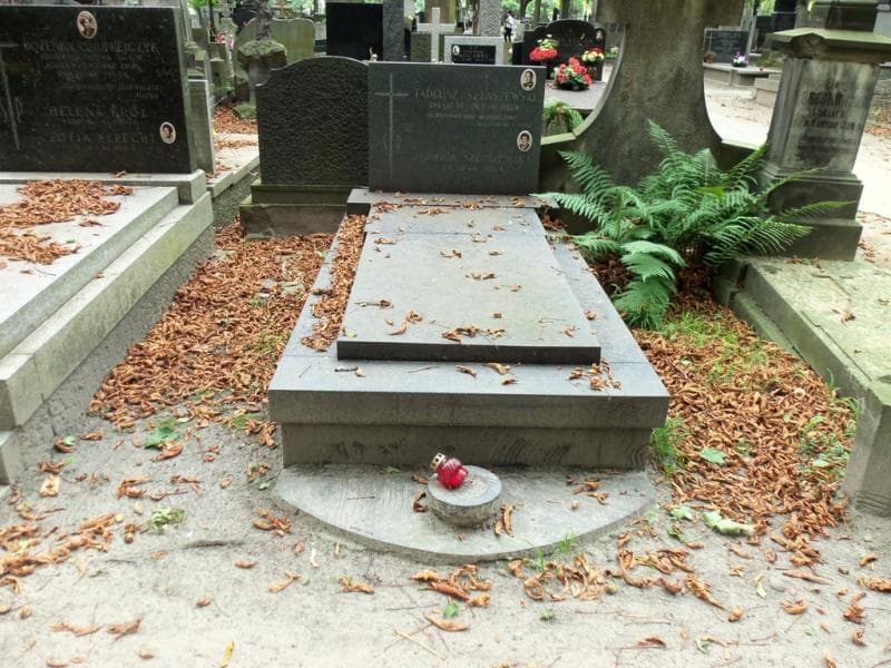 Zdjęcie grobu: Tadeusz Szlaszewski