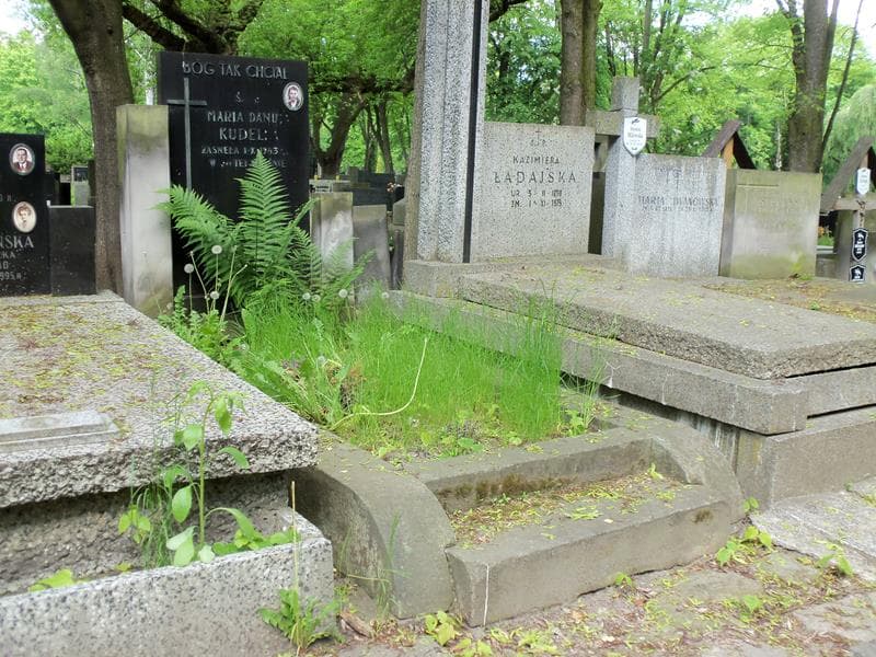 Zdjęcie grobu Maria Danuta Kudelska (1)