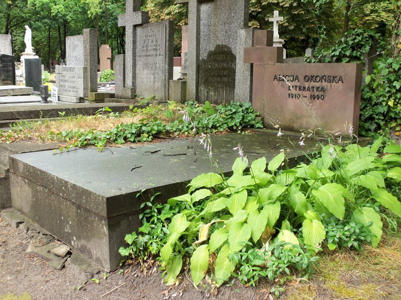 Zdjęcie grobu Alicja Okońska (1)