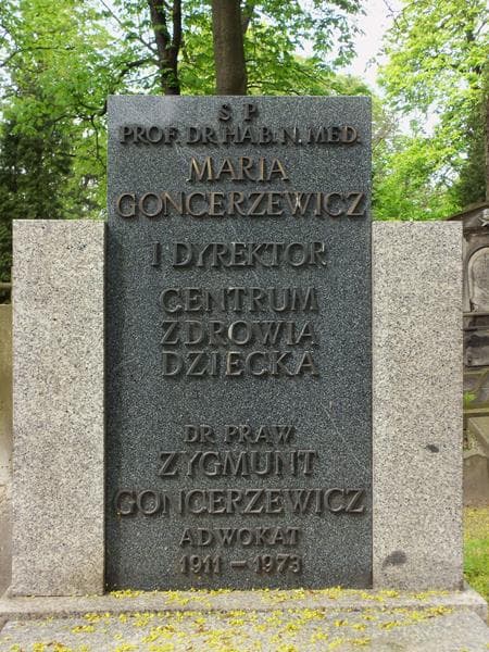 Zdjęcie grobu Zygmunt Goncerzewicz (2)