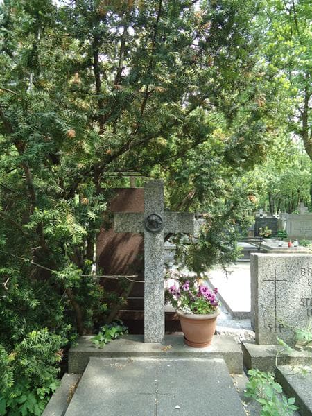 Zdjęcie grobu Izabella Anna Ancerewicz (2)
