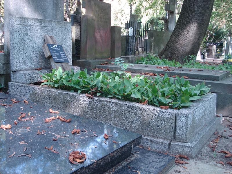 Zdjęcie grobu Józef Pełczyński (1)
