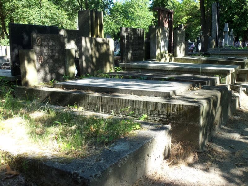 Zdjęcie grobu Stanisława Strzałkowska (1)