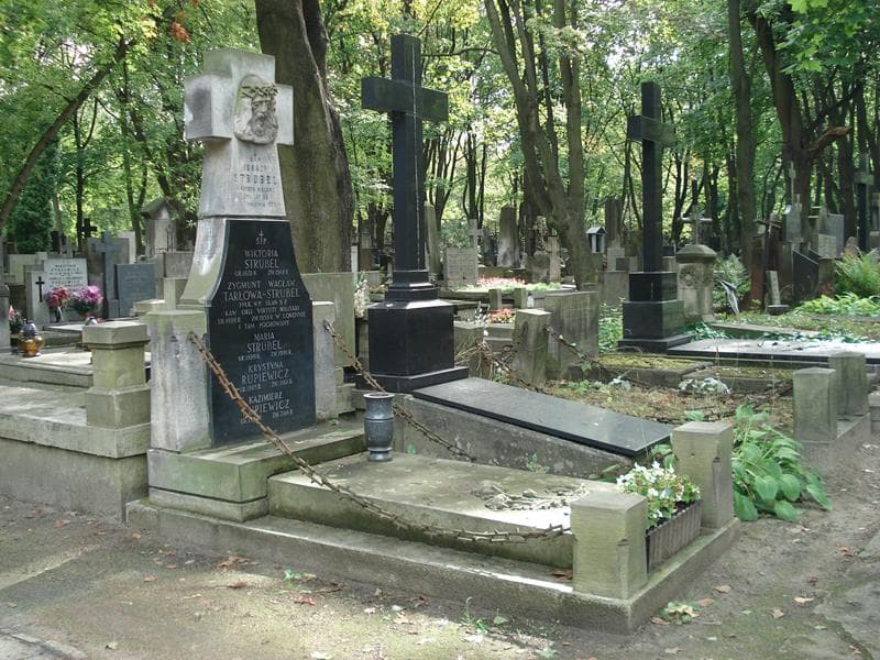 Zdjęcie grobu: Wiktoria Strubel