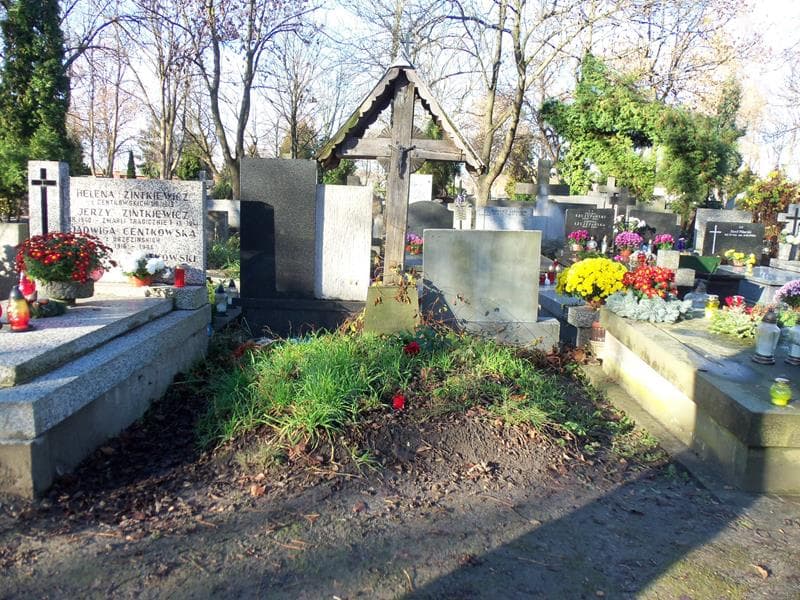 Zdjęcie grobu: Wojciech Centkowski