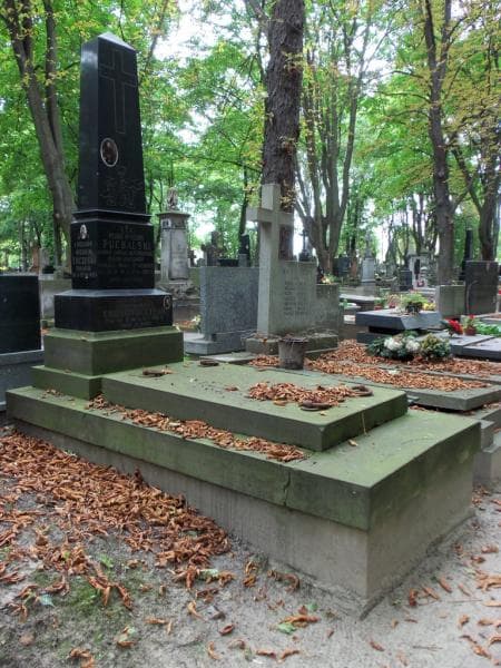 Zdjęcie grobu Juljan Robert Toczyski (1)