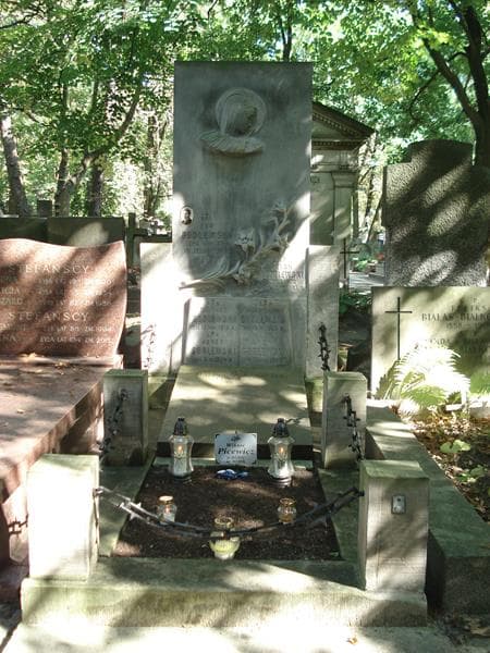 Zdjęcie grobu: Wiktor Picewicz