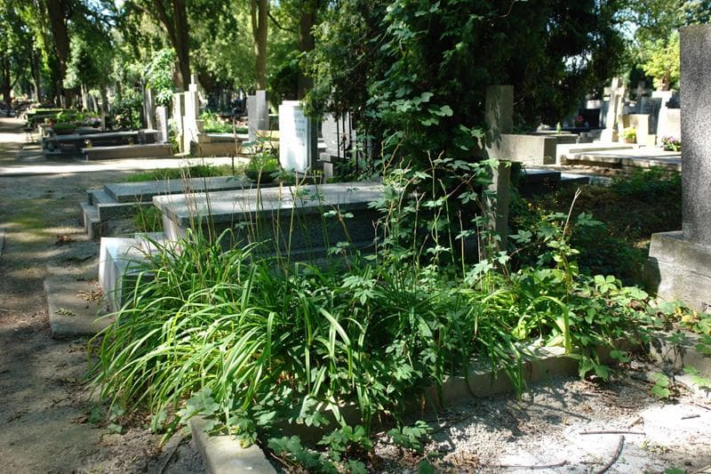 Zdjęcie grobu: Feliks Ebert