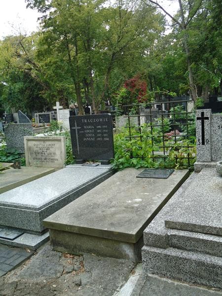Zdjęcie grobu Anna Fritzowa (1)