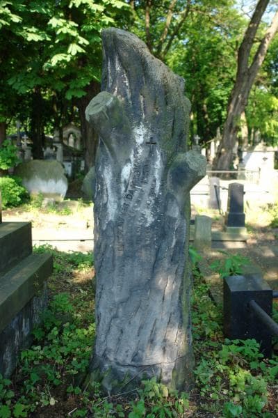 Zdjęcie grobu Marja Dąmbska (2)
