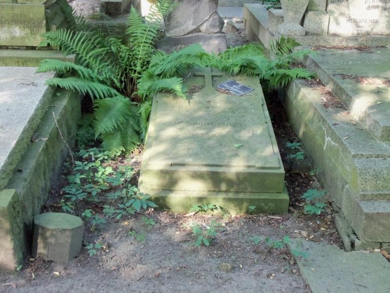 Zdjęcie grobu: Ludwik Arciszewski