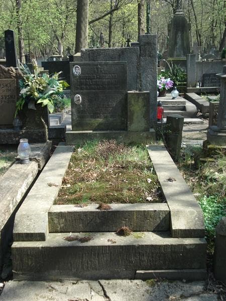 Zdjęcie grobu: Mieczysław Malczewski