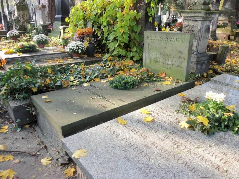 Zdjęcie grobu Teodor Bojanowicz (1)