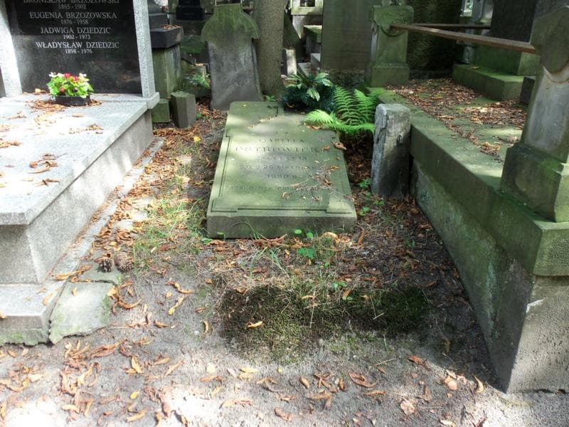 Zdjęcie grobu: Izabella Ostrowicka