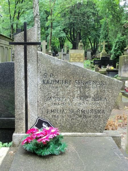Zdjęcie grobu Emilia Serwońska (2)