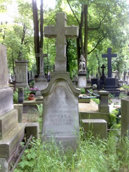 Zdjęcie grobu Władysław Antoni Gorski (1)