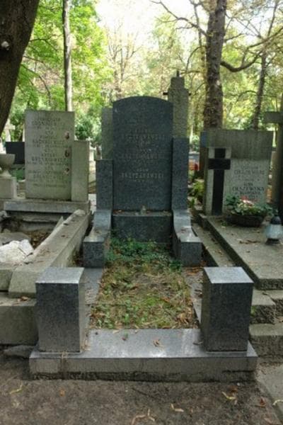 Zdjęcie grobu: Adam Krzyżanowski