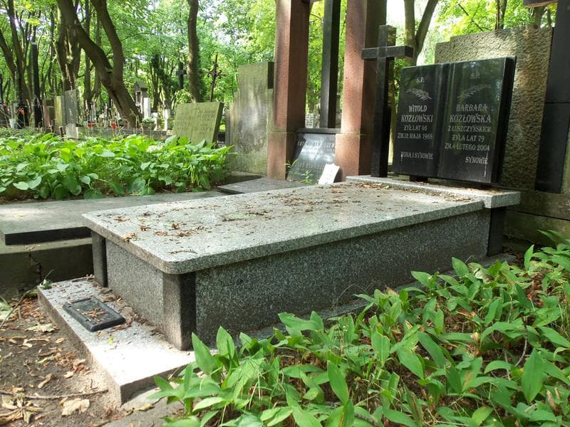 Zdjęcie grobu Witold Kozłowski (1)